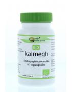 Kalmegh bioAyurveda8717496089656