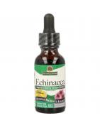 Echinacea extract alcoholvrijOverig gezondheidsproducten083000006128