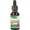 Echinacea extract alcoholvrijOverig gezondheidsproducten083000006128