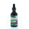 Echinacea extract alcoholvrijOverig gezondheidsproducten083000006135