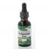 Canadese geelwortel extract alcoholvrijOverig gezondheidsproducten083000006289