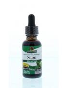 Salie/salvia extract alcoholvrijOverig gezondheidsproducten083000006647