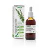 Rosmarinus officinalis XXI extractEtherische oliën/aromatherapie8422947044572