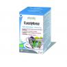 Eucalyforce thee bioKoffie/thee5412360001972