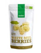 Witte moerbeien vegan bioVoeding5400706000338