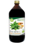 Aloe & ginger & curcuma bioVoeding5412360017911