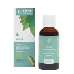 Moringa 400mg puurFytotherapie8718591426520