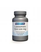 Mega Q10 100 mg liposomaalVitamine multi8717473094529