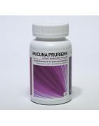 Mucuna pruriens extract 20%Ayurveda8716458007318