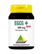 EGCG+ puurFytotherapie8718591424632