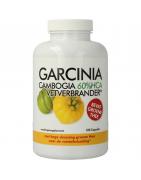 Garcinia cambogia 60% HCA vetverbranderOverig gezondheidsproducten8718164645075