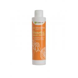 Shampoo normaal/vet mildShampoo8714319205897