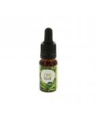 CBD olie 10%Overig gezondheidsproducten8719128695259