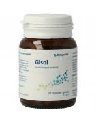 Gisol VCProbiotica5400433288429