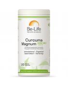 Curcuma magnum 3200 & piperine bioFytotherapie5413134802795