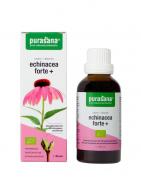 Echinacea forte + vegan bioOverig gezondheidsproducten5400706617024