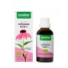 Echinacea forte + vegan bioOverig gezondheidsproducten5400706617024