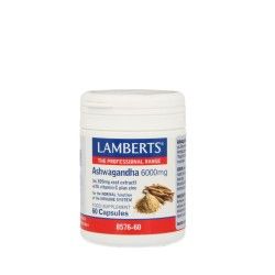 Glechoma hederacea/hondsdraf bioFytotherapie8713589058080