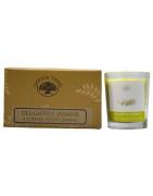 Geurkaars delightful jasmine votiveEtherische oliën/aromatherapie8904280700464