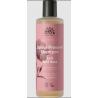 Shampoo soft wild roseShampoo5701058010281