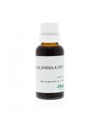 Calendula officinalis phytoFytotherapie8714725007399