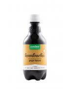 Kombucha gember vegan bioDranken5400706617994