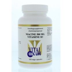 Vitamine D3 1000IE/25mcg veganVitamine enkel8717473127074