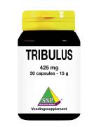 Tribulus 425mgOverig gezondheidsproducten8718591427411