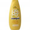 Shampoo elke dagShampoo5410091763305