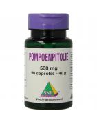 Pompoenpitolie 500mgOverig sport8718591427565