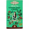 Lifespring echinacea, ginger & rosehip bioKoffie/thee8717853494475