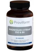 Magnesium citraat 250 & B6Mineralen enkel8717677129423