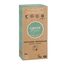 Drogistland.nl-Ginger Organic