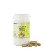 Shilayur forteAyurveda8714226001797