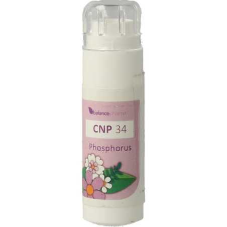 CNP34 Phosphorus ConstitutieplexOverig gezondheidsproducten8711224001835