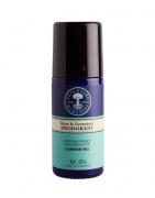 Rose & geranium roll on deodorantDeodorant098400024801