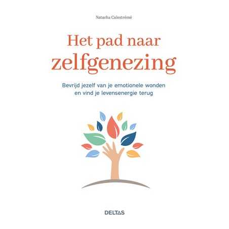 Het pad naar zelfgenezingBoeken/folders9789044763164