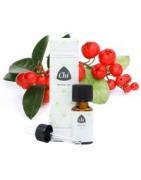 Wintergreen wildEtherische oliën/aromatherapie8714243012844