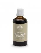 Organic adaptogeen complex tinctuur bioOverig gezondheidsproducten8720791840761