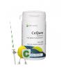 Cequre 500mg vitamine COverig gezondheidsproducten8715216240202