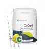 Cequre 500mg vitamine COverig gezondheidsproducten8715216240219