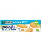 Haverkoekjes bio lactosevrijKoek5412158023223