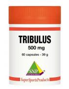 Tribulus terrestris 500 mgOverig gezondheidsproducten8718591422256