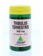 Tribulus terrestris 500 mgOverig gezondheidsproducten8718591421402