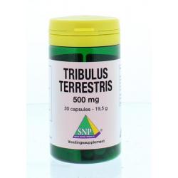 Curcuma C3 complexOverig gezondheidsproducten8715066406704