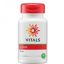 Co-Q10 VitalOverig gezondheidsproducten5413134002430