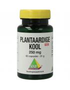 Plantaardige kool 250 mg puurOverig gezondheidsproducten8718591422348