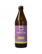 Kombucha green tea balance bioDranken8717677965335