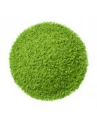 Japan matcha hana bioKoffie/thee4006227777257