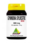 Gymnema sylvestre 300mg puurOverig gezondheidsproducten8718591420146